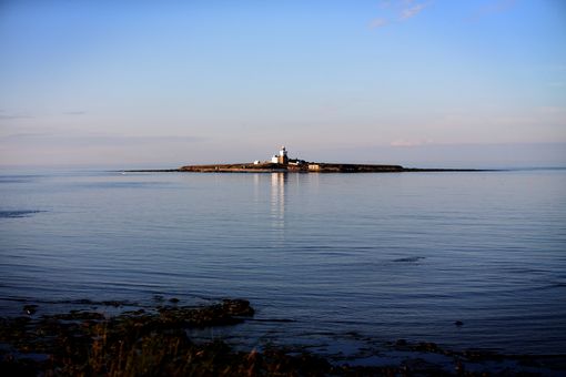 Vue de Coquet Island sur la plage d‘Amble