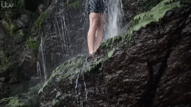 "Who needs the jungle?" allusion à une fameuse scène de Myleene Klass