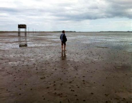 Robson en pélerinage à Holy Island (16/07/13)
