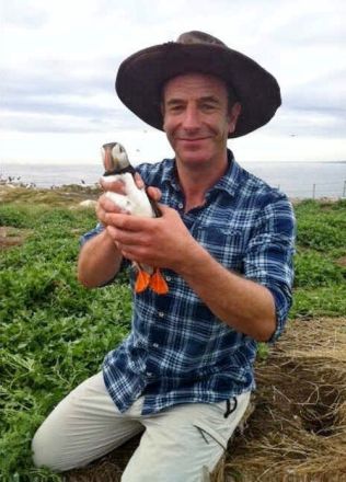 Robson tenant un Sterne arctique à Inner Farm (07/07/13)